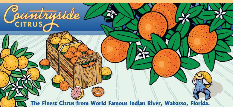 Countryside Citrus (Florida Oranges)